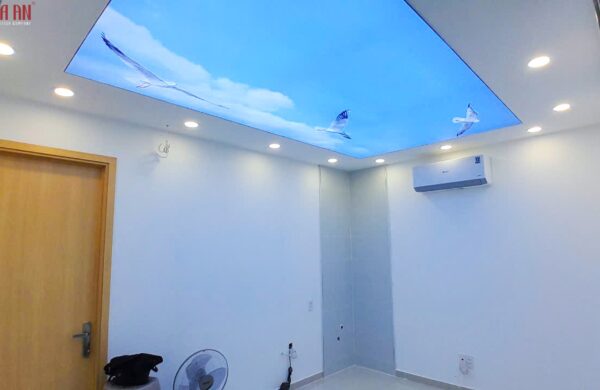 Thiết Kế Thi Công Công Trình Làm Mới Trung Tâm Tiêm Chủng Long Châu Tại Trảng Bàng, T Tây Ninh